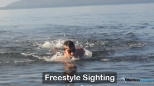 Freestyle Sighting