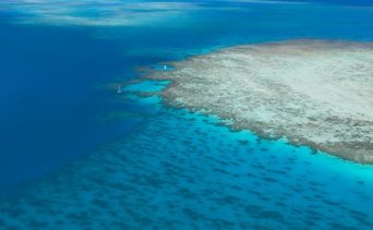 Outer-reef swim whitsundays